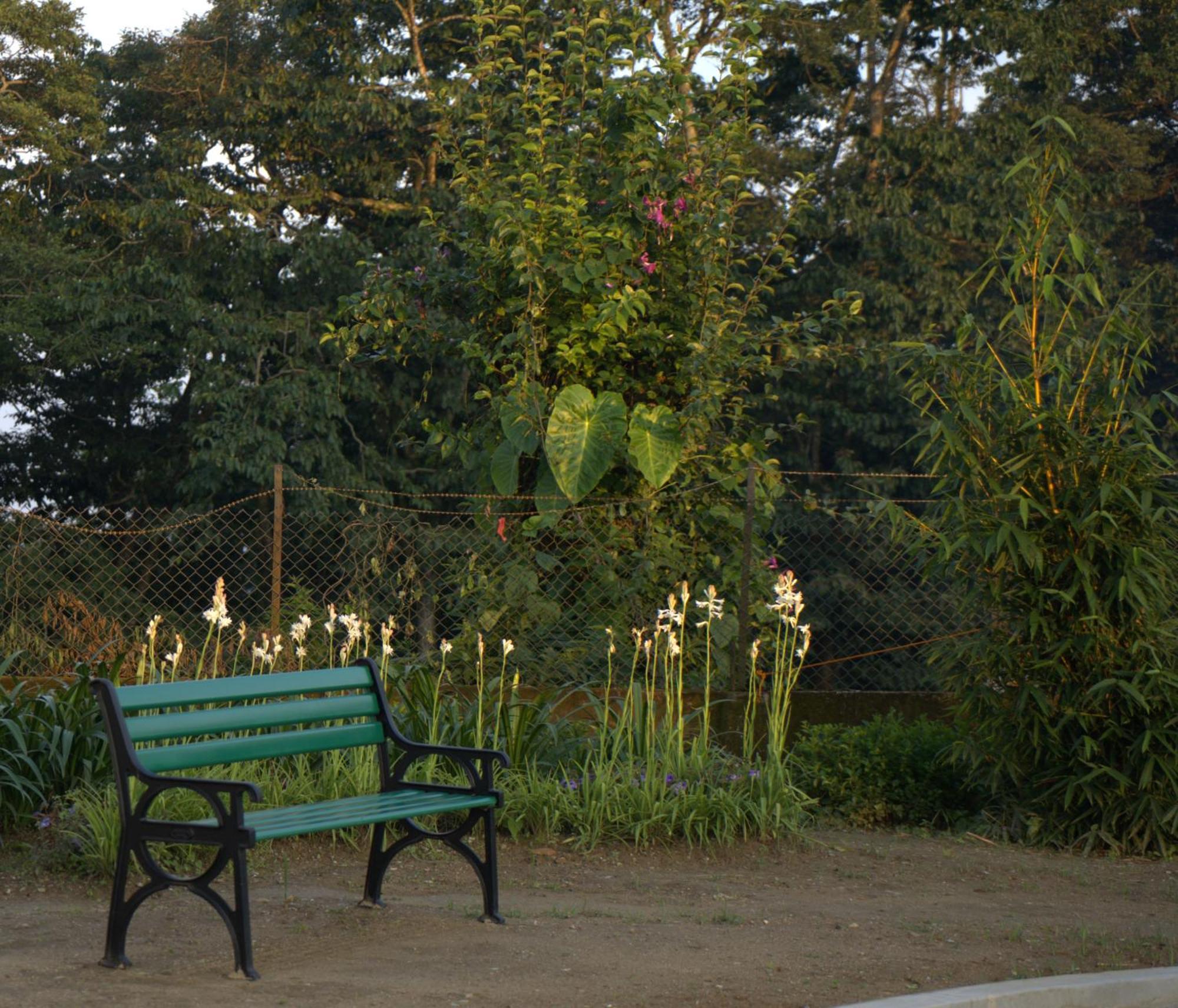 Niharika, The Old Place Kalimpong Esterno foto